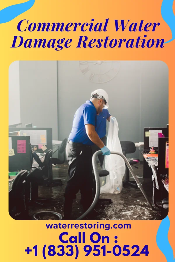 Commercial Water Damage Restoration in Leona Valley, CA