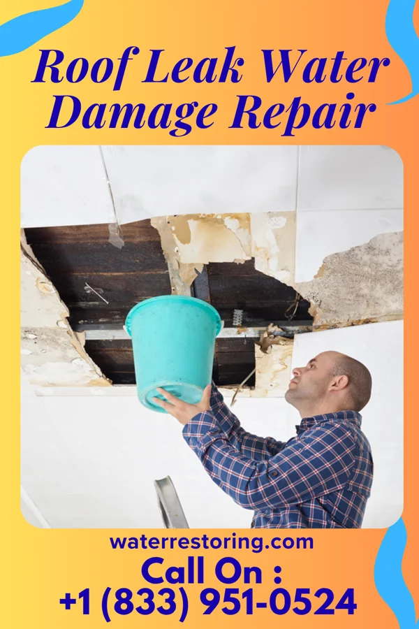 Roof Leak Water Damage Repair in Leona Valley, CA